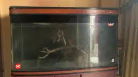 Dijual Aquarium dijamin mulus, soal harga biss nego