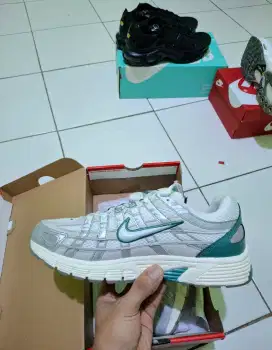 Nike P-6000 Light Bone