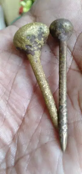 Paku era kabudhan
