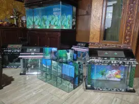 Jual Aquarium murah harga grosir
