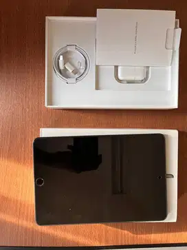 Ipad Mini 5 64 GB Wifi Cell