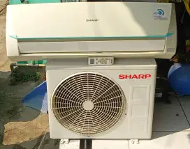 Ac sharp 1/2 pk