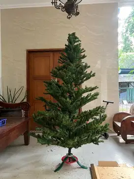 Pohon Natal Bagus