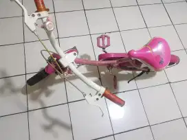 Jual Sepeda Anak Family Pink 16 inch