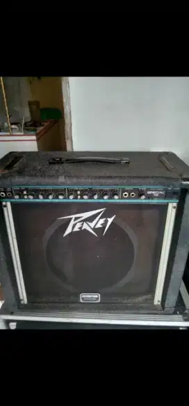 Ampli peavy special112