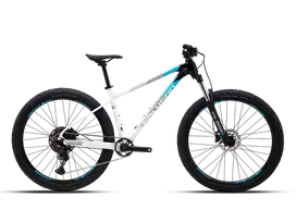 POLYGON XTRADA 5 LG