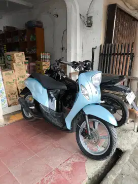 Fino FI 115 mulus