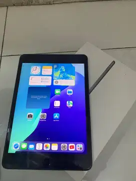 Ipad Mini 5 64gb Wifi/ Cellular