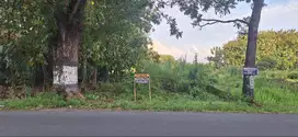 TANAH KERING DI MRANGGEN POLOKARTO