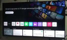55 Inch LG Ai Think 4K Digital TV Frameless
