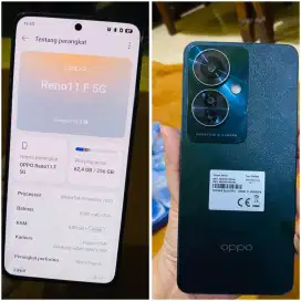 Oppo Reno 11 F 5G