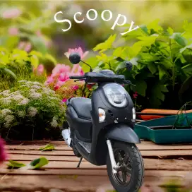 Dp mulai 800rb Scoopy prestige (bi jelek ktp daerah bs kredit scopy