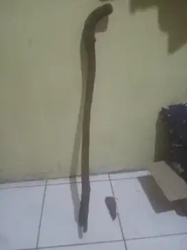 TONGKAT KAYU BIDARA ASLI