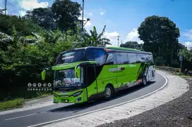 Sewa bus pariwisata