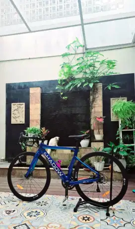Sepeda Shadow roadster 5 Carbon Frame