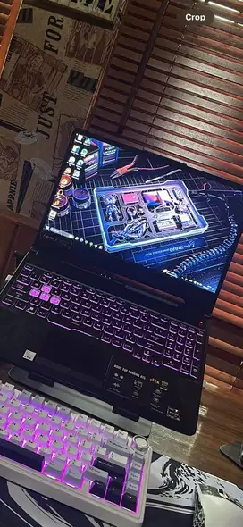 Asus tuf a15 mulus