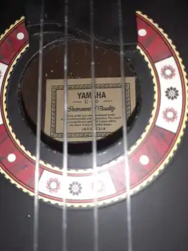 Gitar kentrung ukulele senar 4