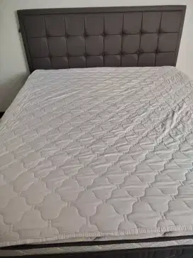 Kasur & dipan Elite Imperial Springbed