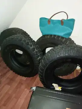 Ban Maxxis Bighorn