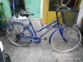 Sepeda Phoenix Dewasa Normal Siap Pakai
