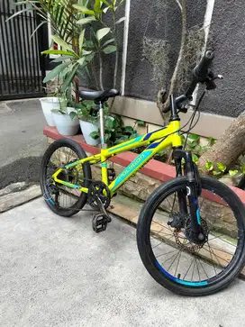 Sepada anak polygon monarch 20