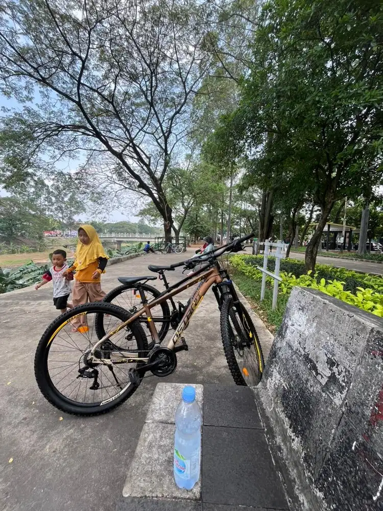 Sepeda United Detroit