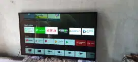 Sony Android 49 in Digital Tv