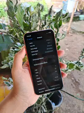 iPhone xr 129gn iBox hp casan