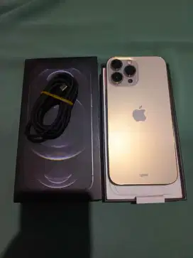 IPHONE 13 PRO MAX 256 GB SECOND IBOX LCD GANTIAN