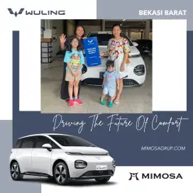 Sales mobil wuling