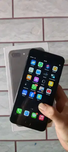 iPhone 7 plus nominus normal