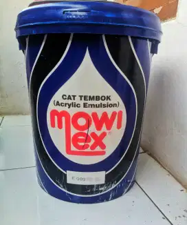 JUAL CAT MOWILEX 25 LITER
