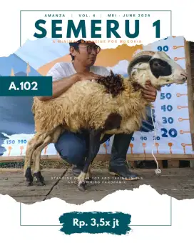 Jual Hewan Qurban