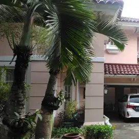 Di jual rumah cluster mewah