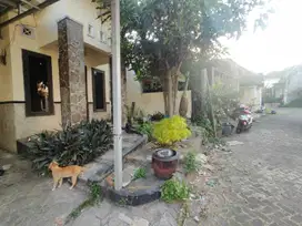 Rumah Minimalis Lokasi Premium, Dekat Kampus Brawijaya Malang A182