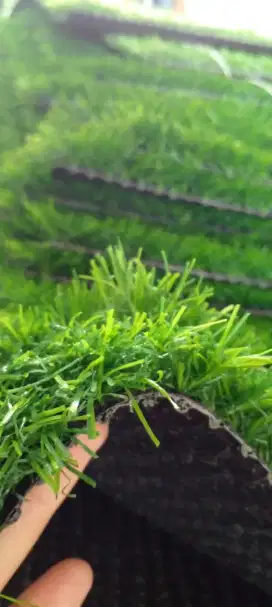Jual Rumput Sintetis | Rumput Dekorasi | Rumput Taman
