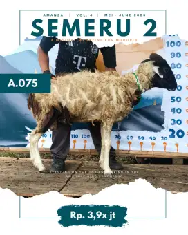Jual Hewan Qurban