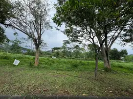 Jual Super Murah Kavling Taman Dayu Golf View