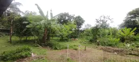 Tanah Kavling 1500m² di Pamulang 2, Pamulang
