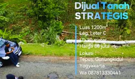 DIJUAL TANAH MURAH, PINGGIR JALAN ARAH PANTAI LUAS 1200 M²