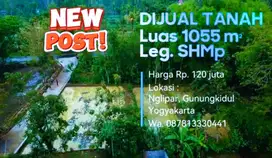 DIJUAL TANAH LUAS 1055M² , LOKASI NGLIPAR GUNUNGKIDUL