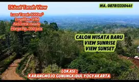 DIJUAL TANAH VIEW LUAS 6000M², HARGA 350 JUTA