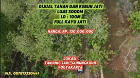 DIJUAL TANAH DAN KEBUN JATI MURAH LUAS 3000M² HARGA 130 JUTA