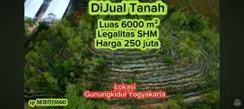 DIJUAL TANAH MURAH LUAS 6000M² HARGA 250JUTA , LOKASI TANJUNGSARI