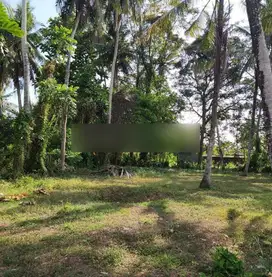 Tanah los sungai di jalan pantai pasut Tabanan, lebar depan 62 meter