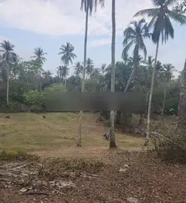 Tanah view laut di lalang linggah Balian beach, akses jalan 4 meter