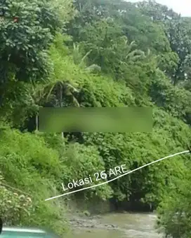 Tanah los tebing dan view jungle di lingkungan villa mewah jalan panta