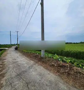 Tanah view sawah cuma 4 menit ke pantai kedungu