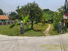 Tanah 1300 m2 pinggir jalan belakang kampus IPB Dramaga