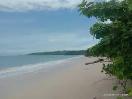 Dijual Tanah Los Pantai